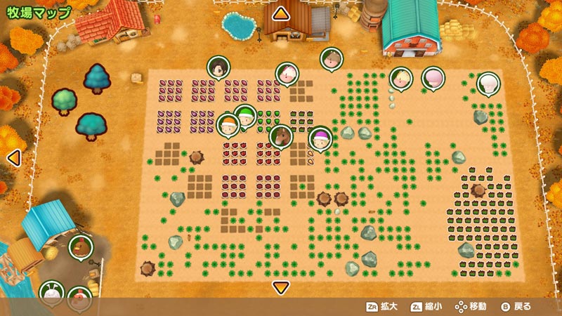 story of seasons a wonderful life crop guide